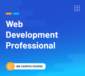 Frontend Development Professional